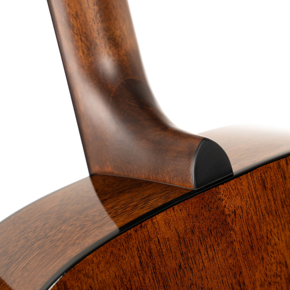 Cort Earth60 Natural Gloss Cort Earth60 Natural Gloss