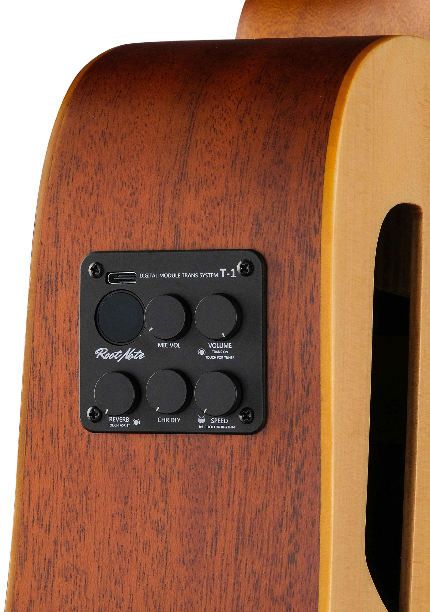 Root Note TA220 Natural Root Note TA220 Natural