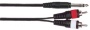 Soundking BB304-3M 