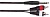 Soundking BB304-3M 