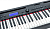Soundsation Audes 