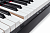Soundsation Audes 