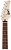 Cort G110 Open Pore Black 